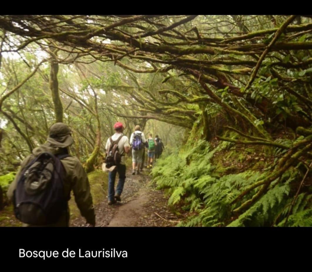 Playa Benijo Paraiso Rural Trail ซานตาครูซ เด เตเนริเฟ ภายนอก รูปภาพ