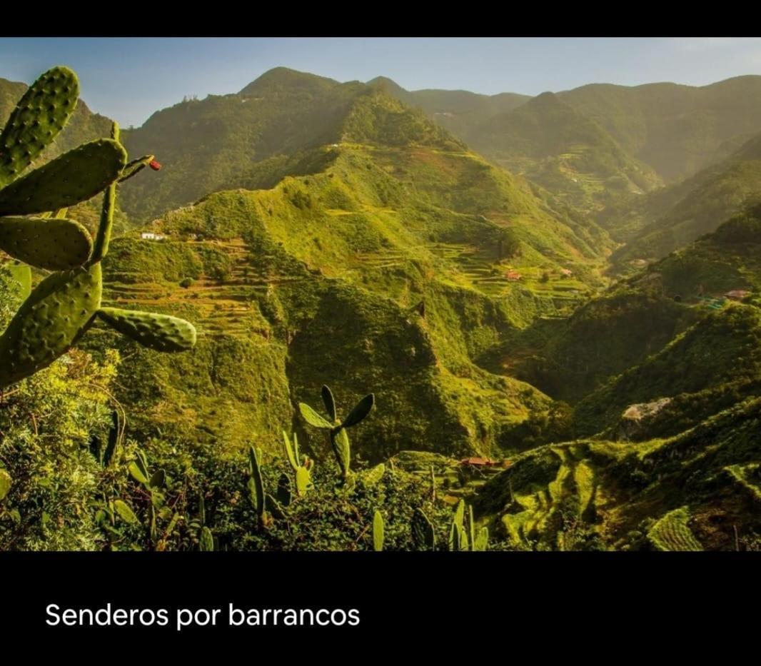 Playa Benijo Paraiso Rural Trail ซานตาครูซ เด เตเนริเฟ ภายนอก รูปภาพ